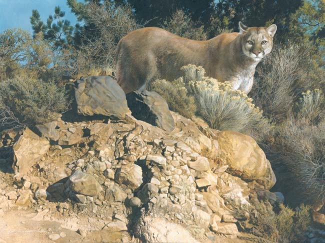 Reproductions of Carl Brenders Paintings Cliff Dweller Reproductions of Carl Brenders Paintings Cliff Dweller